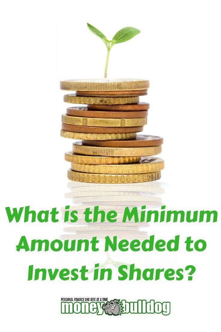 What is the minimum amount needed to invest in shares ...